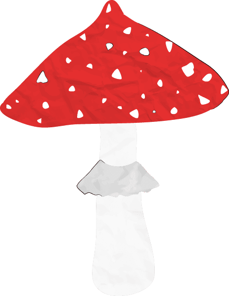 Cogumelo Amanita Muscaria | Míscaros - Festival do Cogumelo