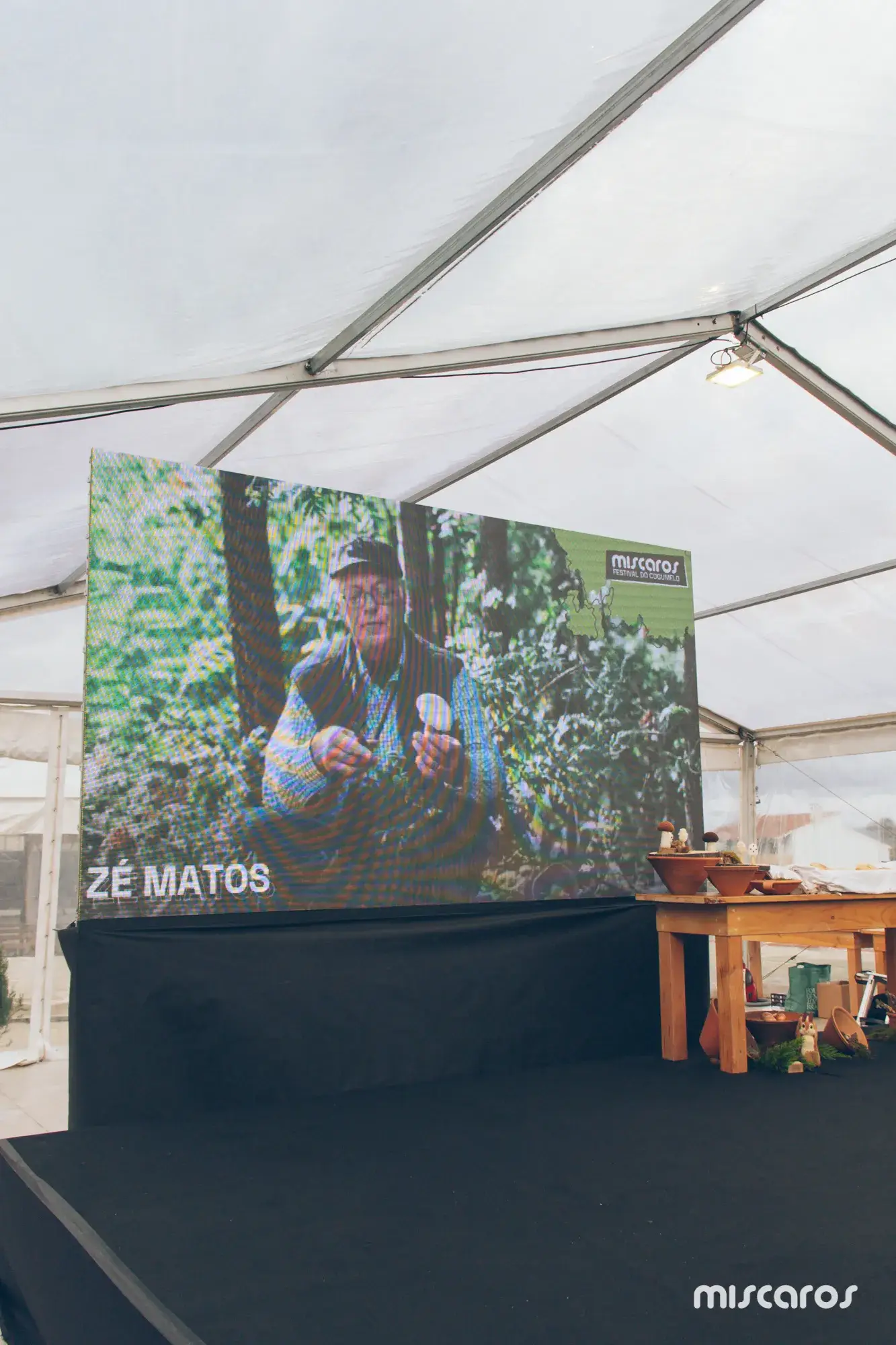 Míscaros - Festival do Cogumelo 2025 | Quarta e Quinta-feira