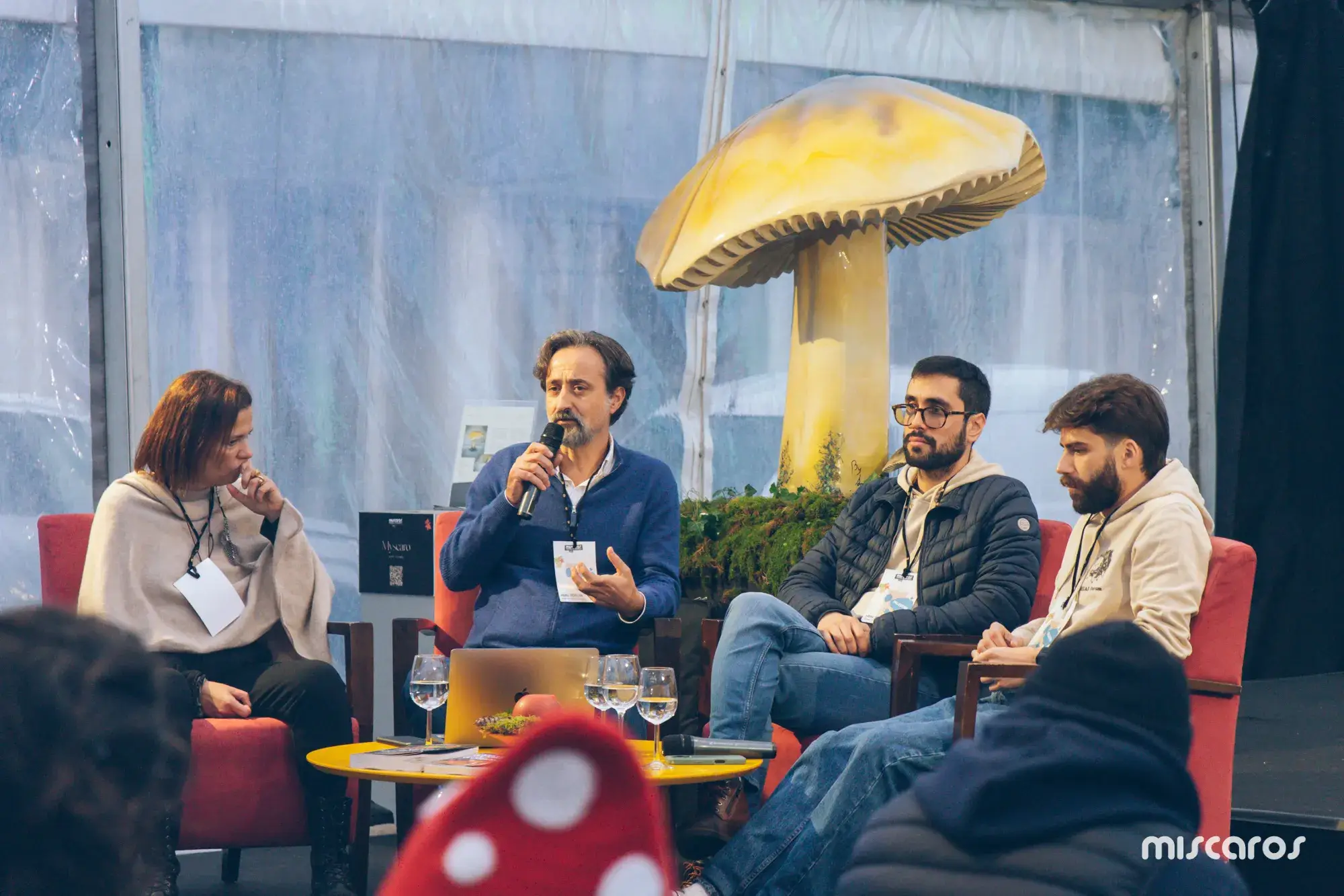 Míscaros - Festival do Cogumelo 2025 | Quarta e Quinta-feira