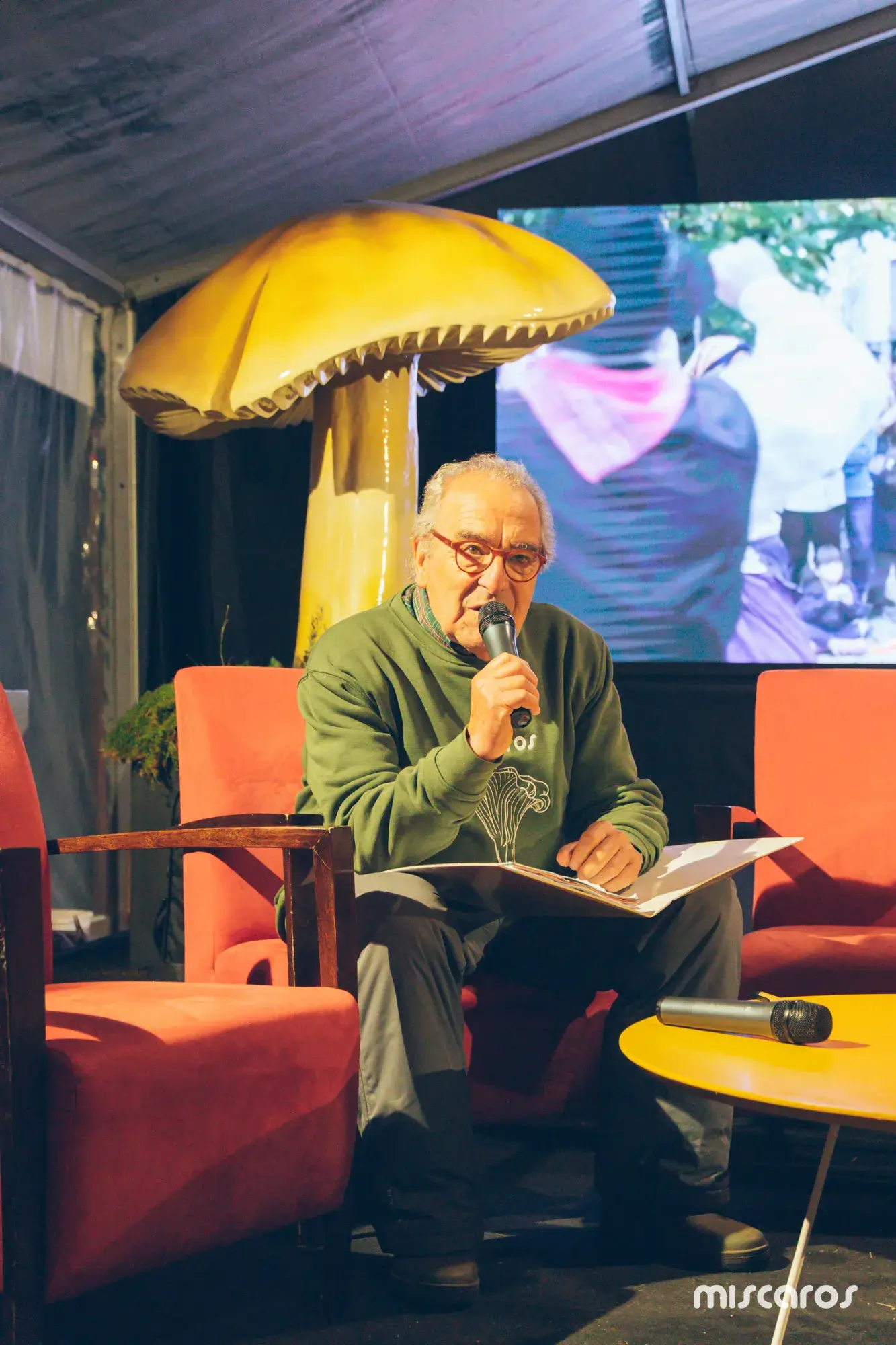 Míscaros - Festival do Cogumelo 2025 | Quarta e Quinta-feira