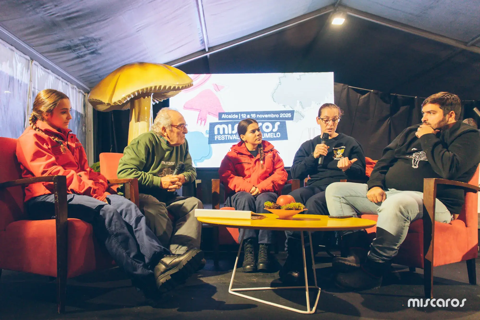 Míscaros - Festival do Cogumelo 2025 | Quarta e Quinta-feira