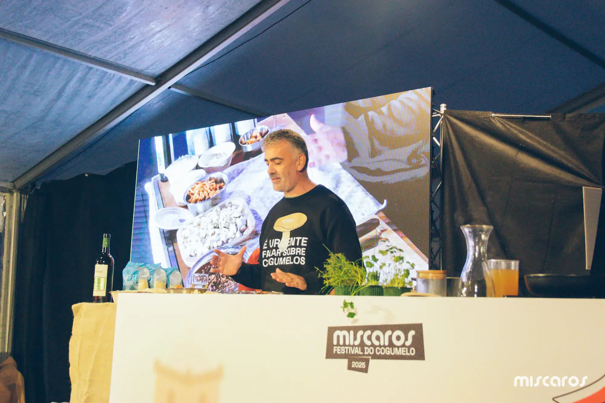 Míscaros - Festival do Cogumelo 2025 | Sábado