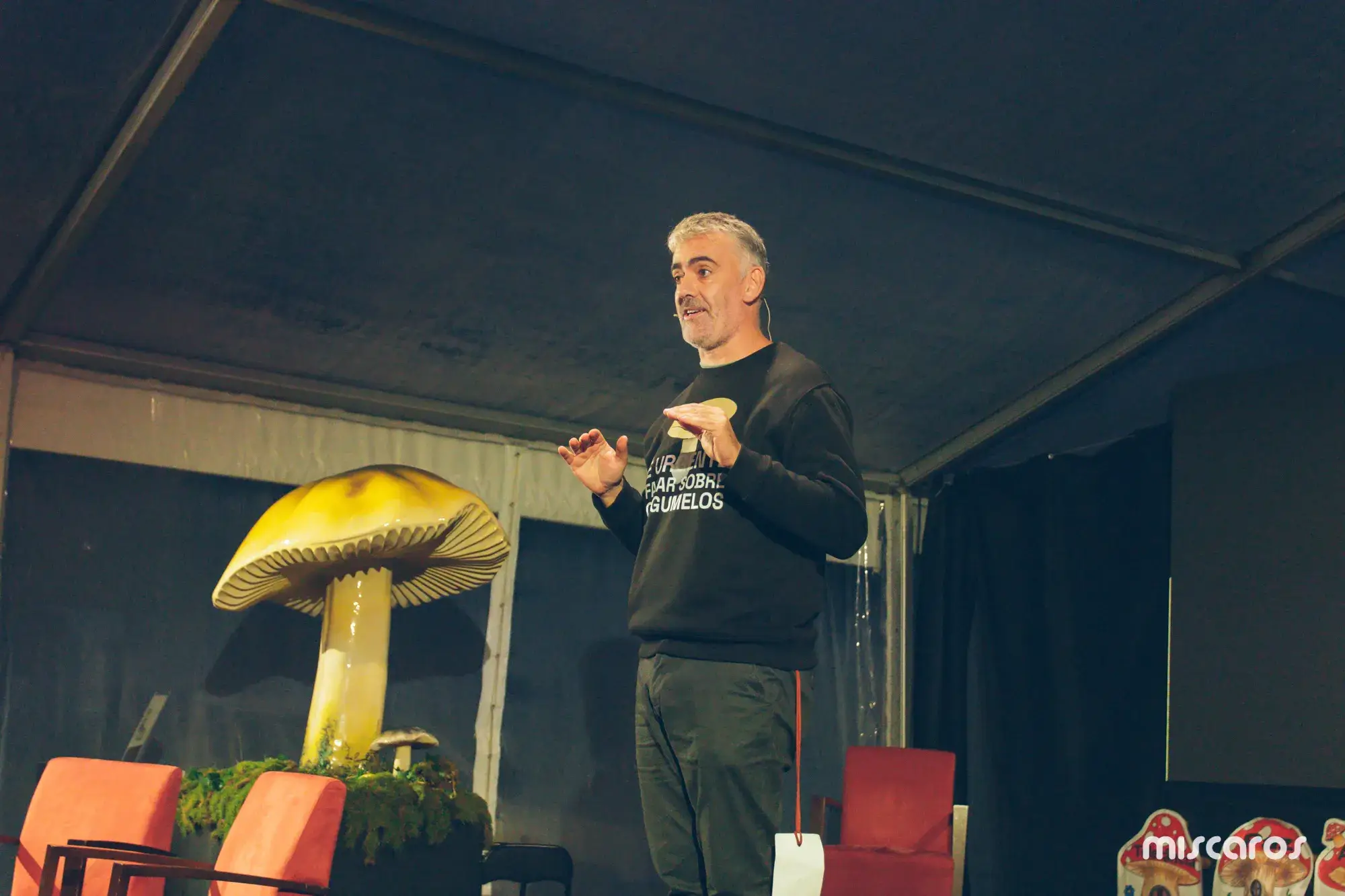 Míscaros - Festival do Cogumelo 2025 | Sábado