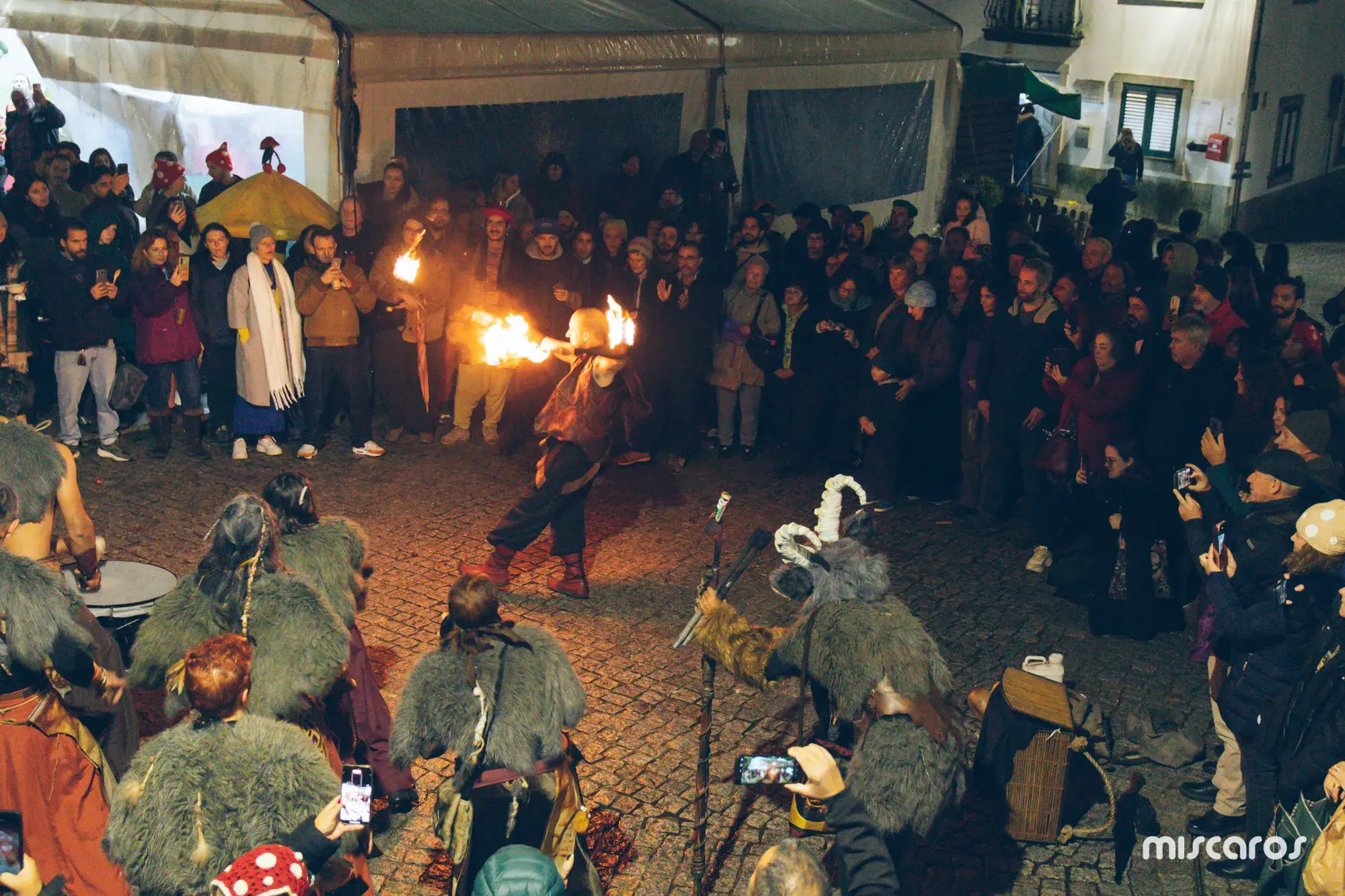 Míscaros - Festival do Cogumelo 2025 | Sábado