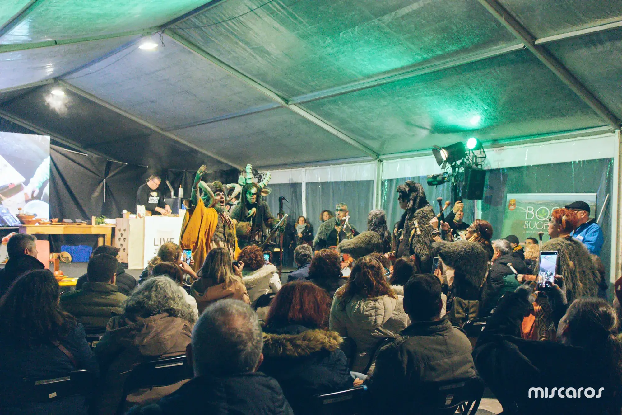 Míscaros - Festival do Cogumelo 2025 | Sábado