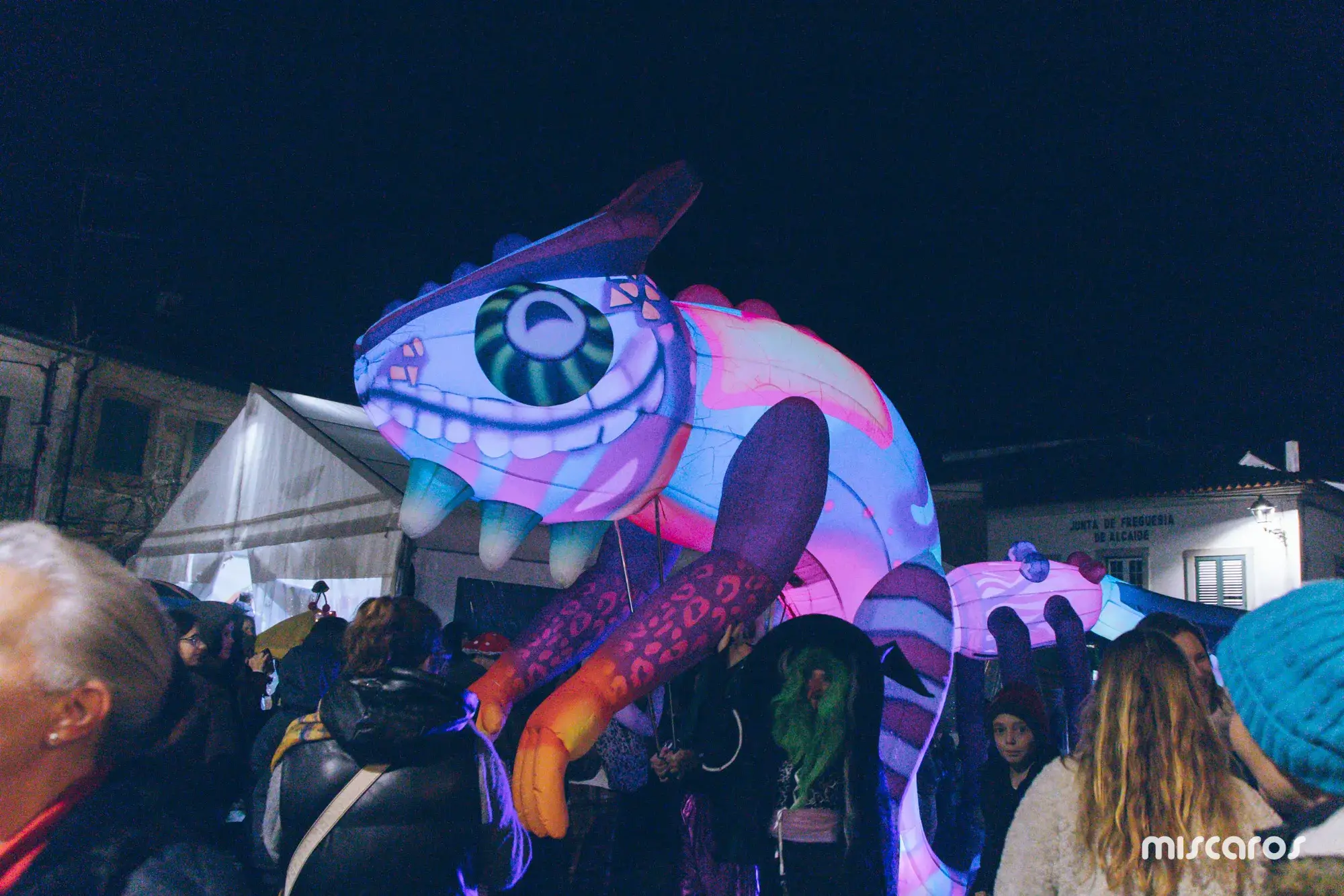 Míscaros - Festival do Cogumelo 2025 | Sábado