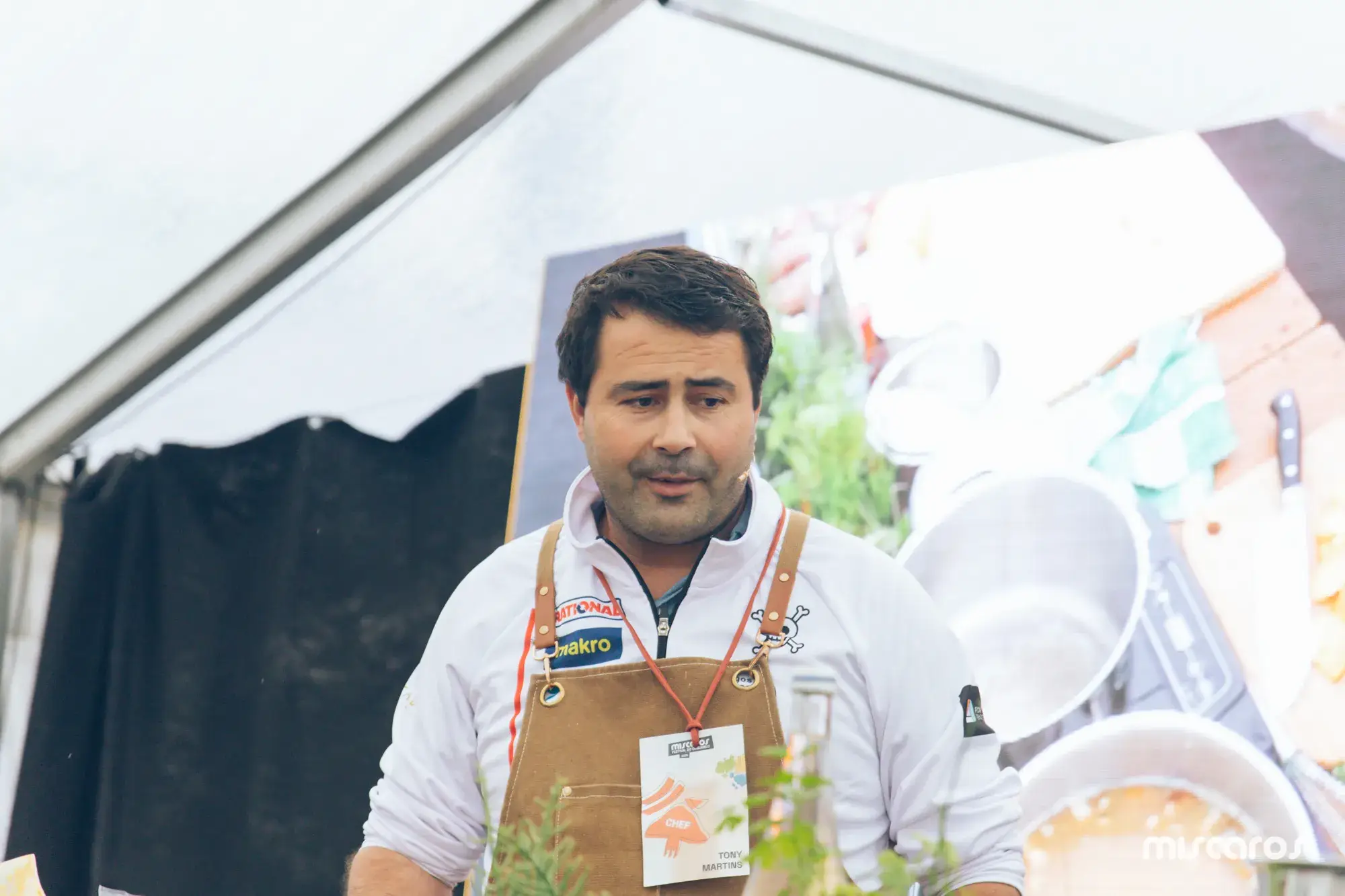 Míscaros - Festival do Cogumelo 2025 | Domingo